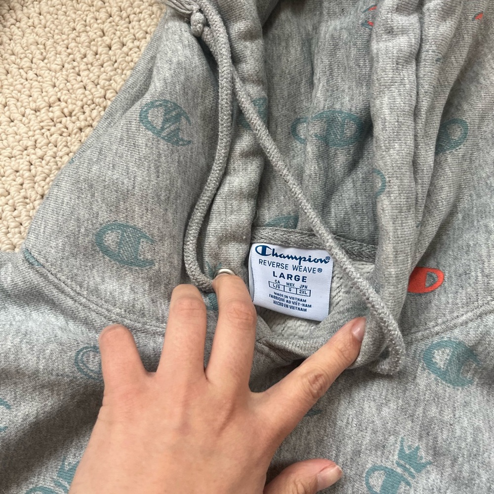 Champion multicolor logo grey cropped hoodie